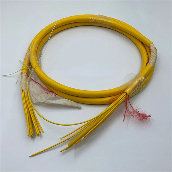 Bahamas Fiber Optic Sensor Manufacturer